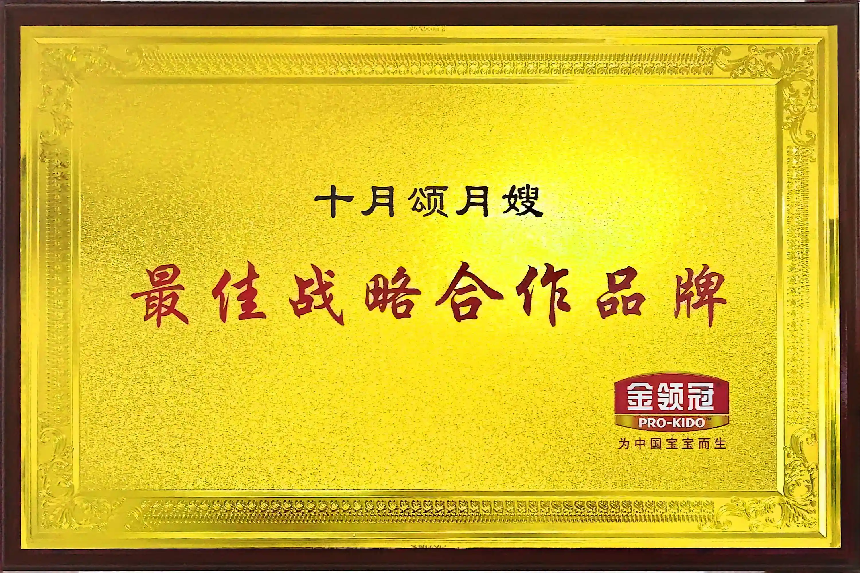 金冠玲&ldquo;最佳战略合作品牌&rdquo;